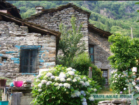 Как могла бы выглядеть русская деревня под грузом европейских ценностей