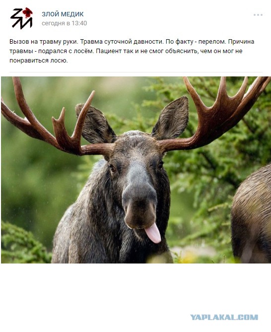 Немного околомедицинской деградации...