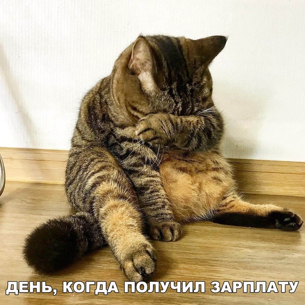 Специфический юмор