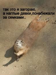 Ненасытная скотина v 2.0