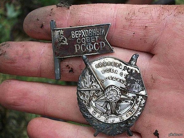 Сенатор призвала не желающих выживать на 3500 рублей помнить об ужасах войны