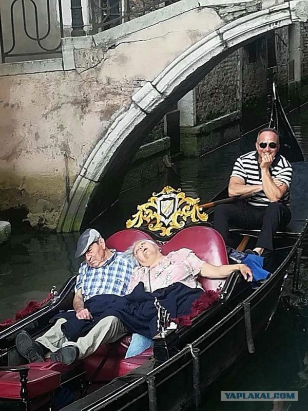 Немного веселых картинок