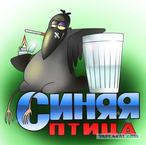 Алкопост на эту пятницу