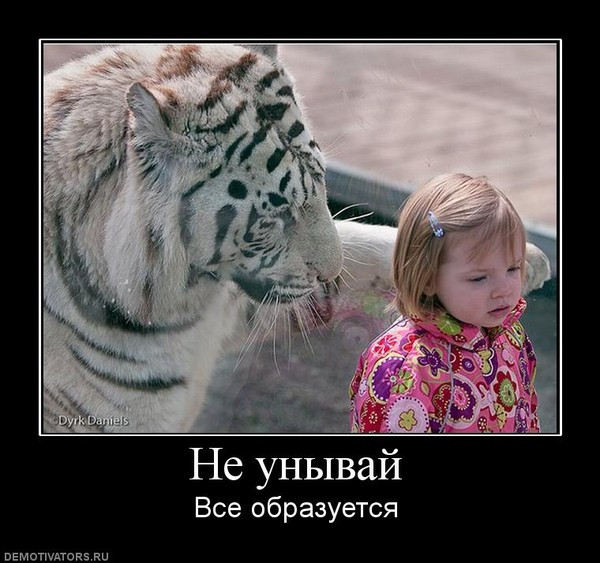 Кого звать, если...