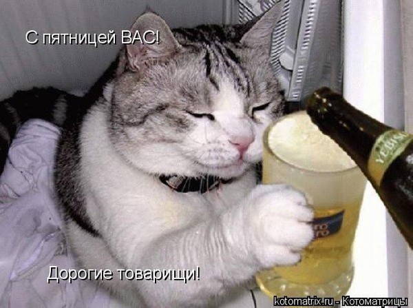 Немного картинок и демотиваторов со старого винта - 3