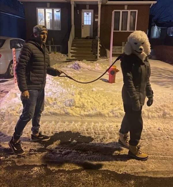 Соляночка из картинок