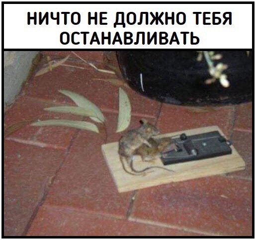 Февральская вечерняя чернь...
