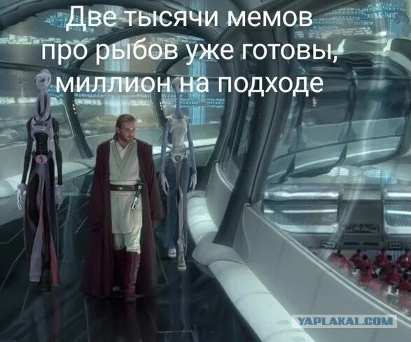 Разбираем новый мем "про рыбов"