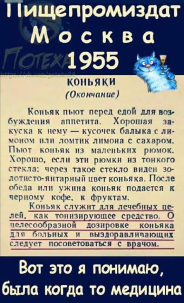 Весёлый полтишок 15.10