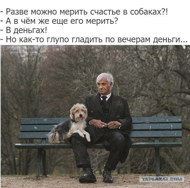 Всяческие картинки 02.11.2021