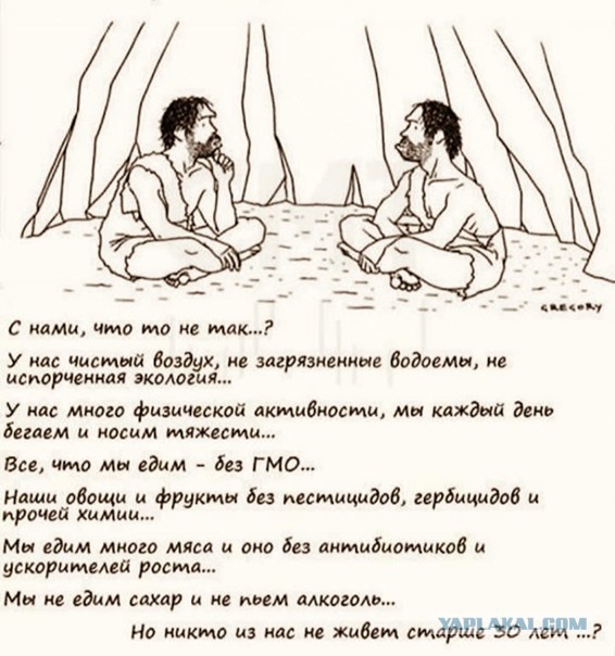 Про пузатых людей
