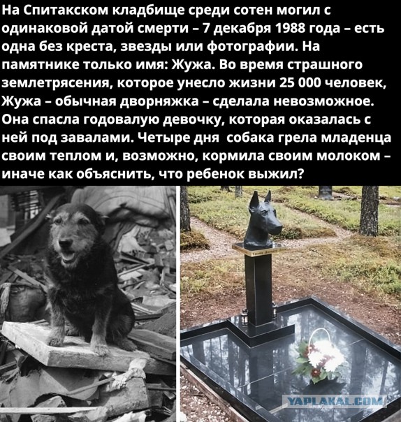 Украинские спасатели