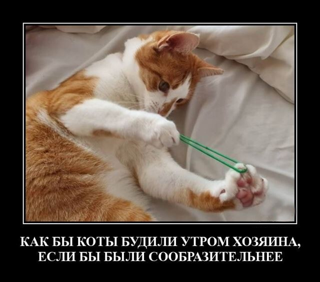 Немного картинок и прочей хреноты Vol. 12