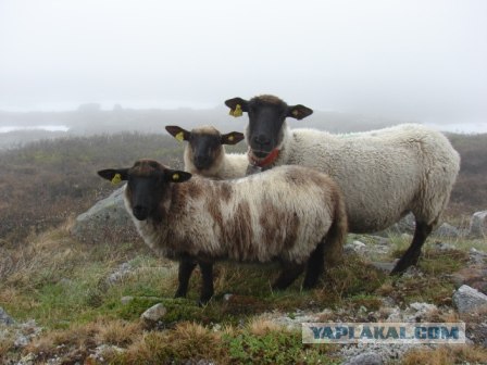 Деревня в которой я живу