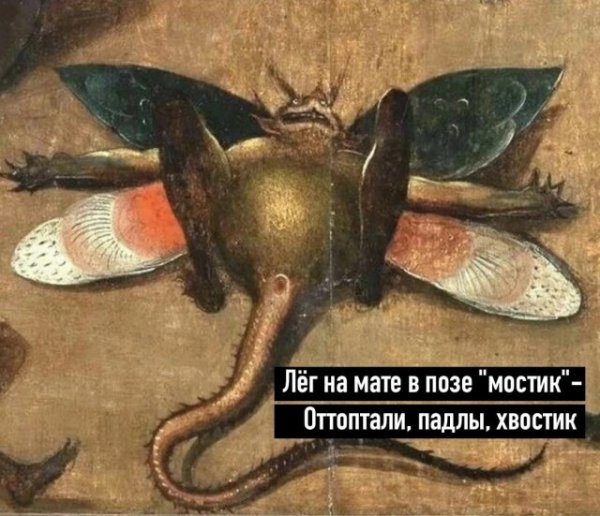 Прикольные и просто красивые картинки 05.09.2022