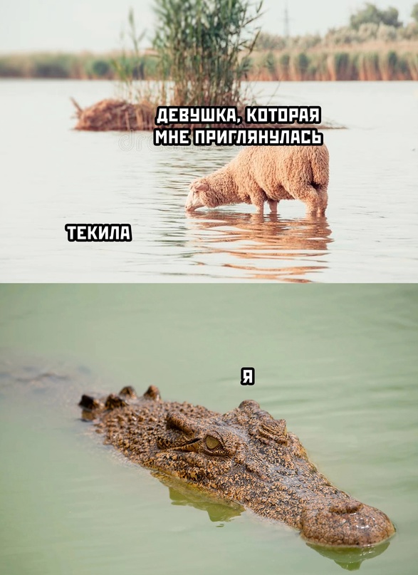 Весёлый полтишок 30.03.23