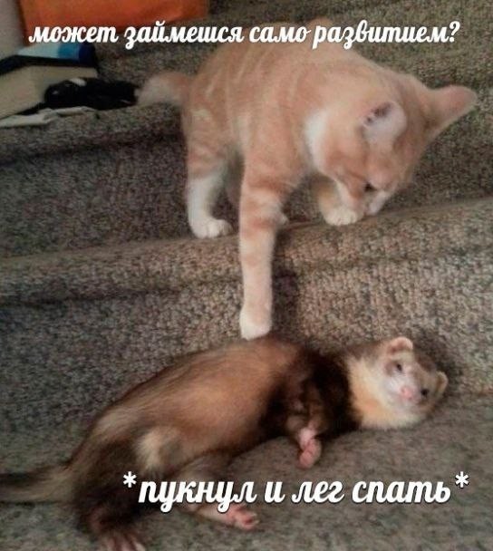 Всего понемногу. От 17.04.23