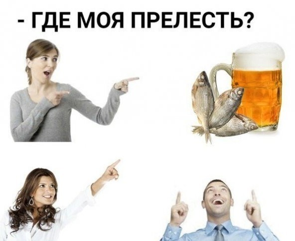 Весёлый полтишок 08.07.23