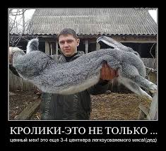 Зайчишка с львиным сердцем: лучшая защита это - нападение