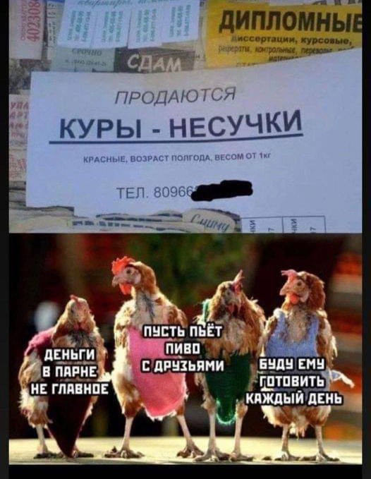 Приколы с налетом деградации