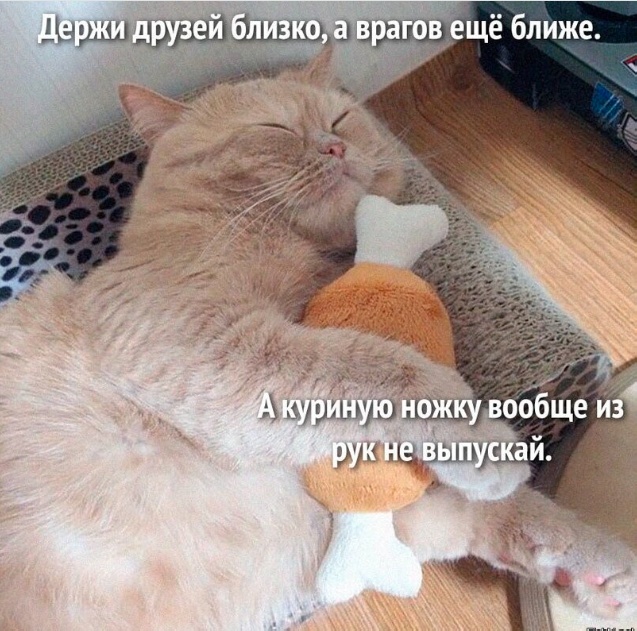 Всякая всячина