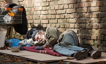 Это картонные кровати для «олимпийской деревни» во Франции от Макрона