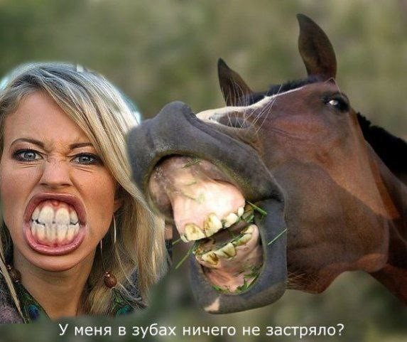 Веселые картинки в пятницу (11.04)
