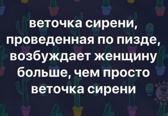 Так себе картинки 06.05.25
