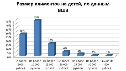 В Госдуме назвали обсуждение идеи об отчете женщин за траты алиментов «не мужским»