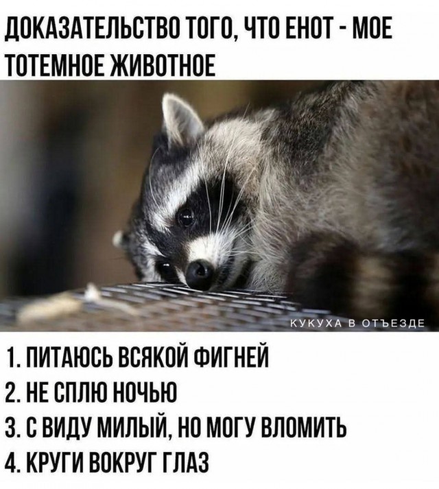 Картинки для деградации 11 (разной степени свежести)