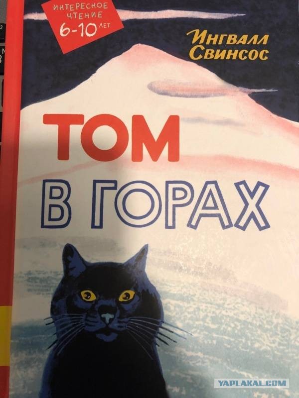 Кот пять месяцев выживал в заснеженных горах Канады.