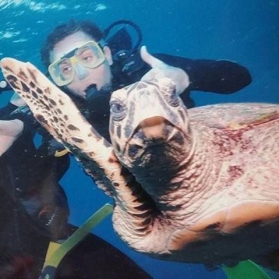 Подборка фотографий из серии "Что здесь происходит?!"