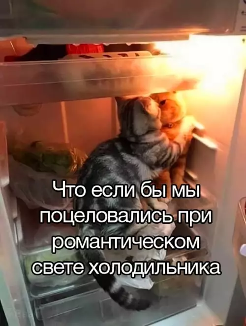 Картиночки, баянчики 17 февраля