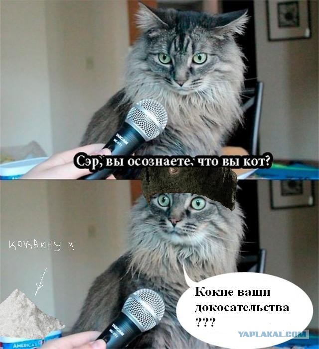 Вот это поворот!