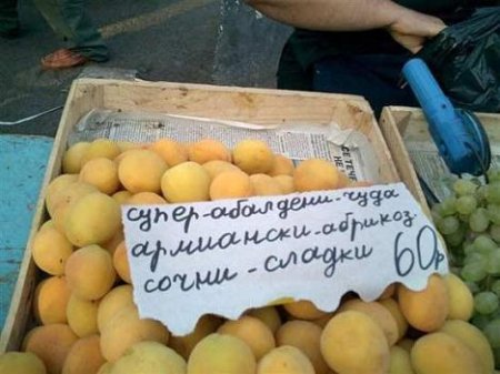 Не оскудеет земля идиотами