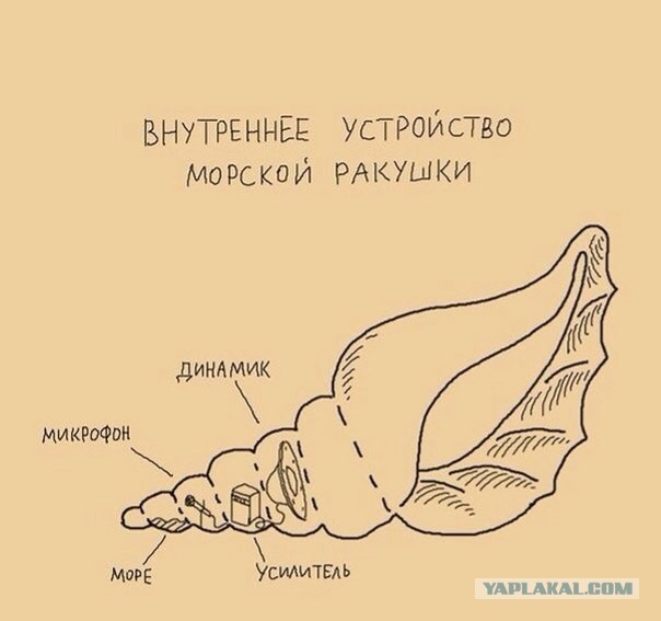 Багамские острова