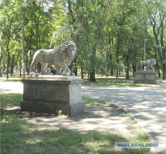 Прогулка по   весенней Одессе