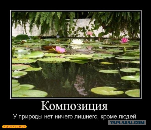 Крутим и гоним