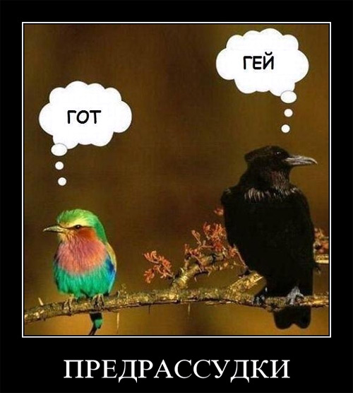 Немного смешных картинок из сети