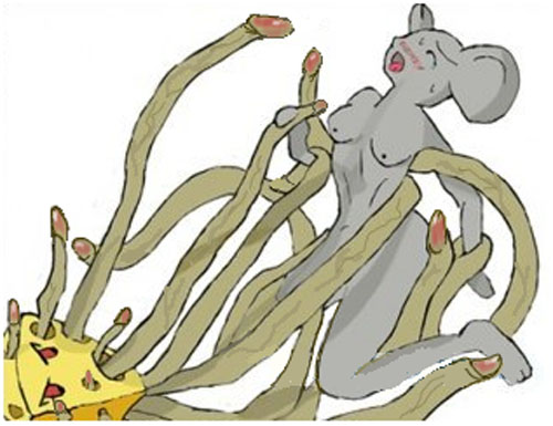 Принцип действия японской мышеловки