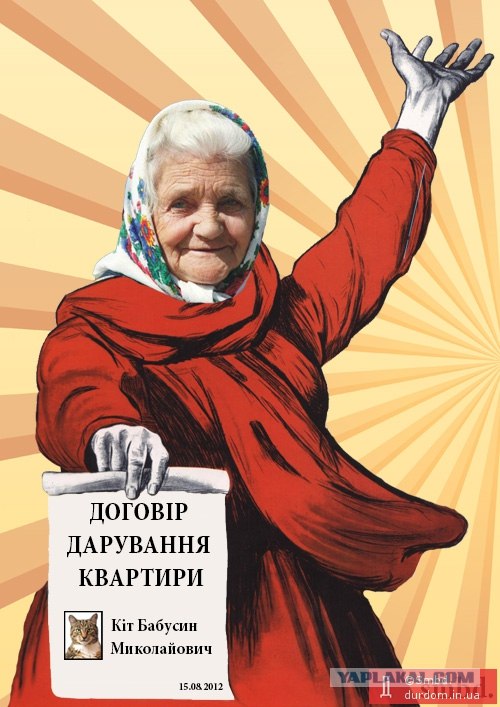 Предвыборный юмор по-украински (коте одобряет)