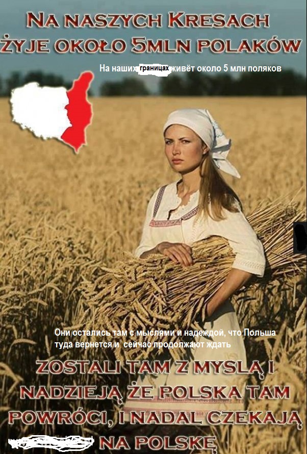 Поляки намереваются отобрать назад запад Украины