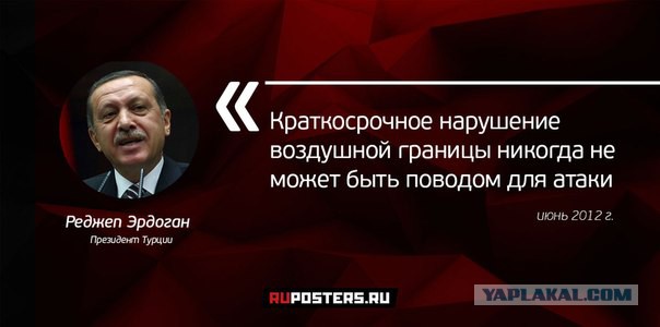 Эрдоган выступил с заявлением по поводу сбитого Су