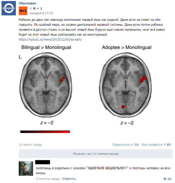 Смешные комментарии из социальных сетей