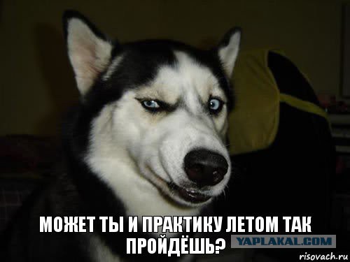 Ах тыж хитрый