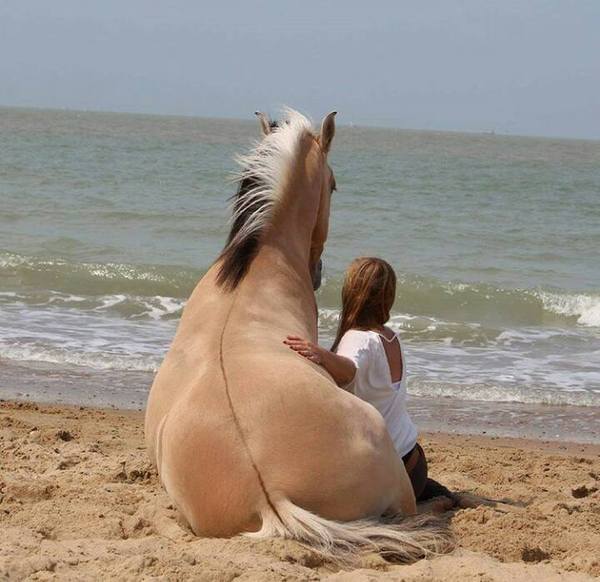 Подборка прикольных фото