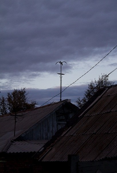 Весёлые картинки