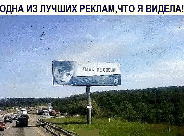Подборка картинок выходного дня