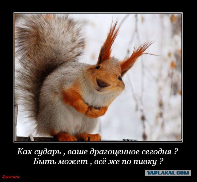 Рос. ученые. Как люди становятся алкоголиками? И что такое алкоголизм на самом деле.