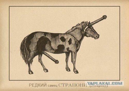 30 личных наблюдений